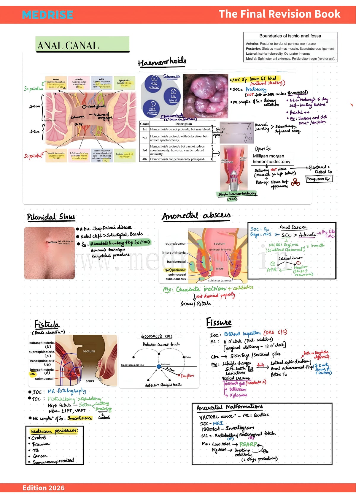 The Final Revision Book (All subjects)