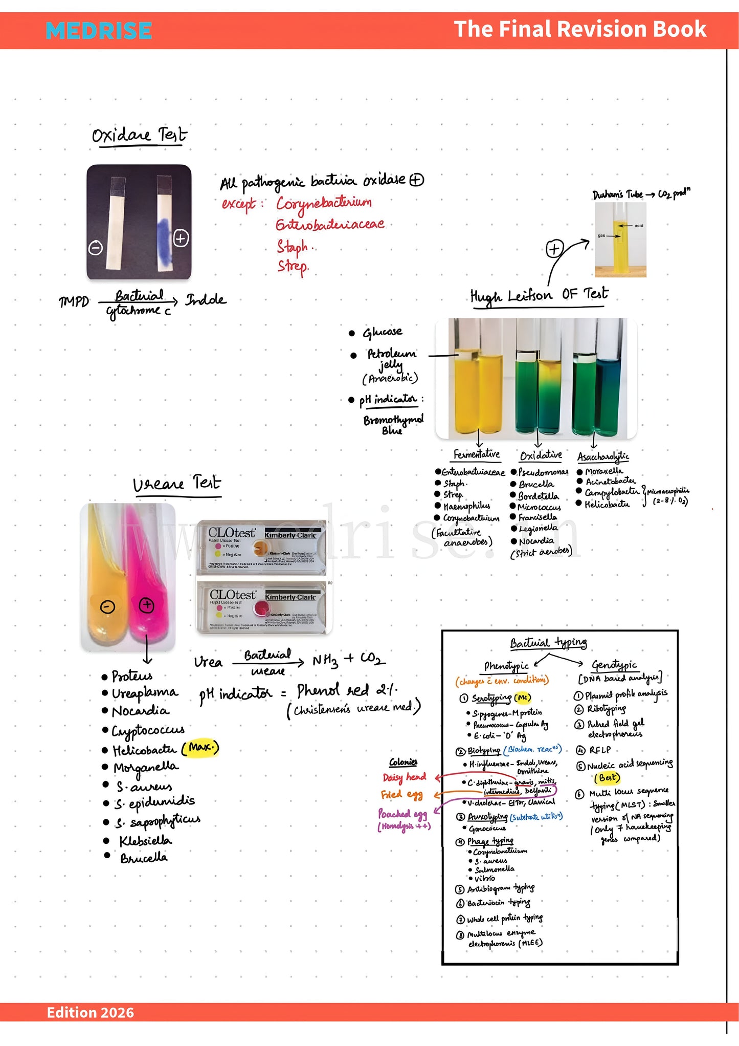 The Final Revision Book (All subjects) + 30 Days Quick Revision Plan