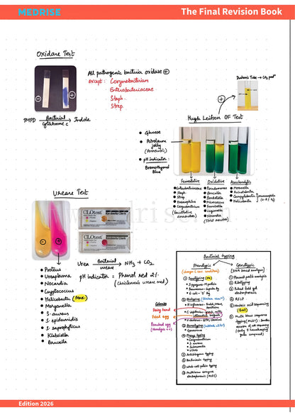 The Final Revision Book (All subjects) + 30 Days Quick Revision Plan