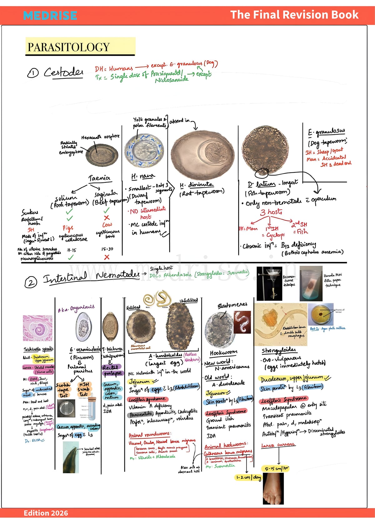 MEDRISE The Final Revision Notes for NEET-PG, INICET & FMGE