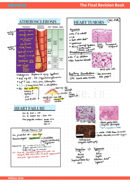 The Final Revision Book (All subjects) + 30 Days Quick Revision Plan