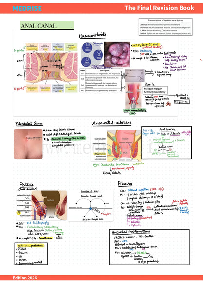 The Final Revision Book (All subjects) + 30 Days Quick Revision Plan